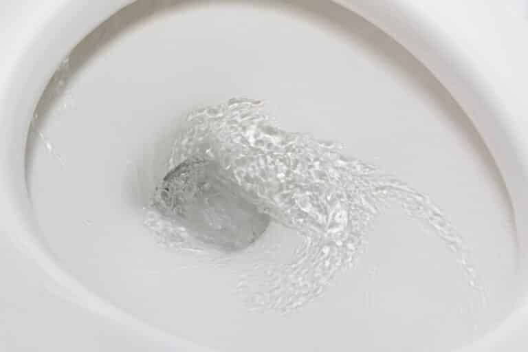 Toilet Gurgles
