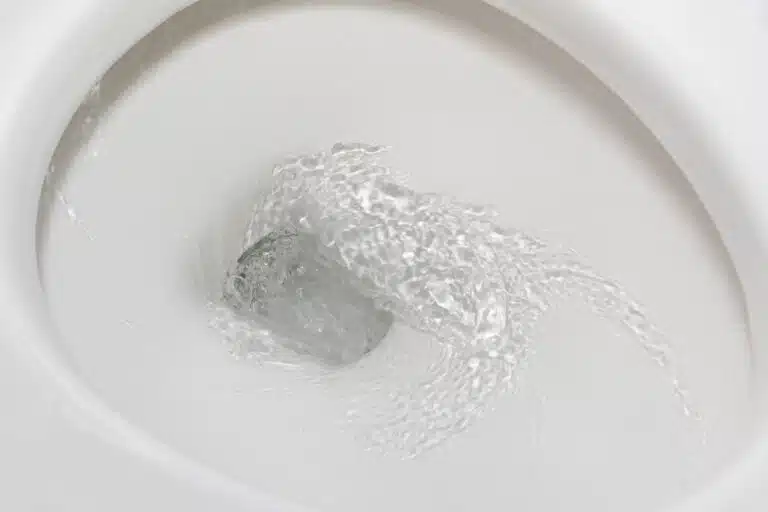 Toilet Gurgles