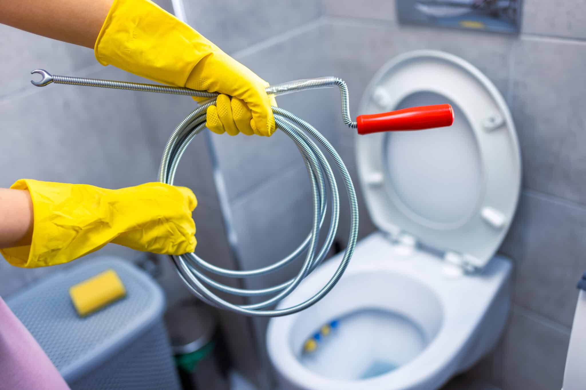 A close-up shot of a young woman applying drain cleaner to a clogged toilet bowl, Prevent Plumbing Blockages.