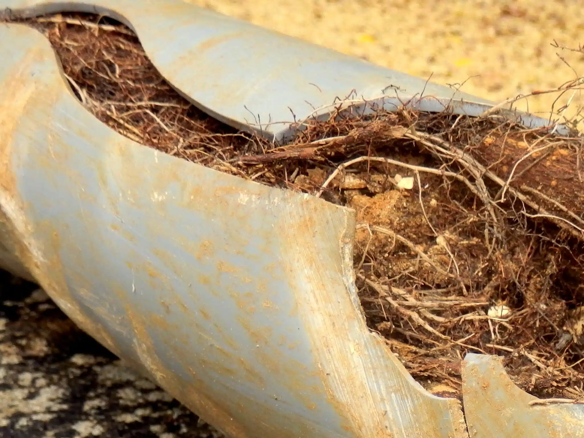 Root intrusion, Video pipe inspections.
